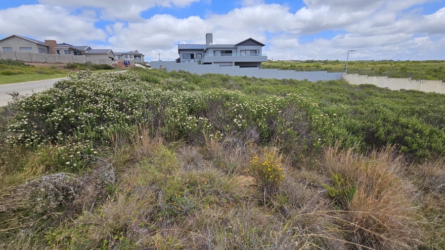 0 Bedroom Property for Sale in Blue Waters Estate Eastern Cape